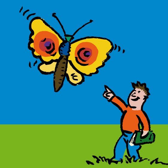 Eine Zeichung eines Schmetterlings und eine Person auf einer Wiese die sich freut den Schmetterling zu sehen